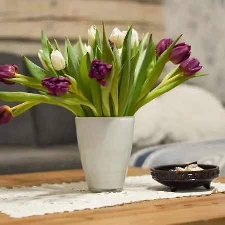 Paju With Sauna Apartment