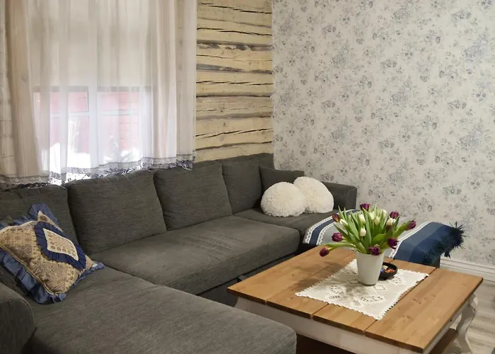 Paju With Sauna Apartment Voru