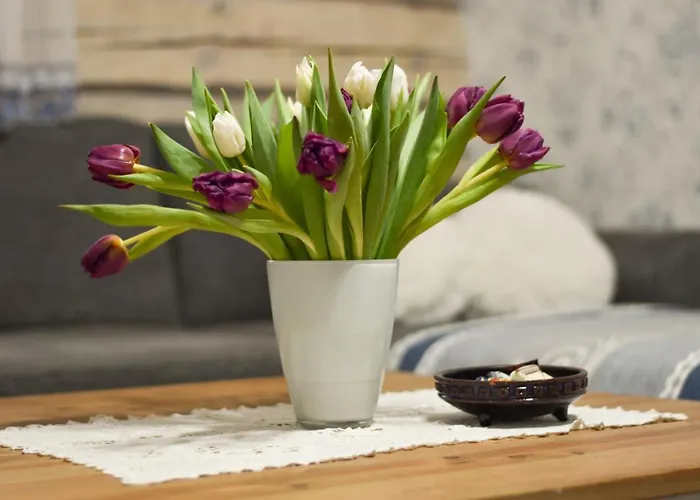 Paju With Sauna Apartment